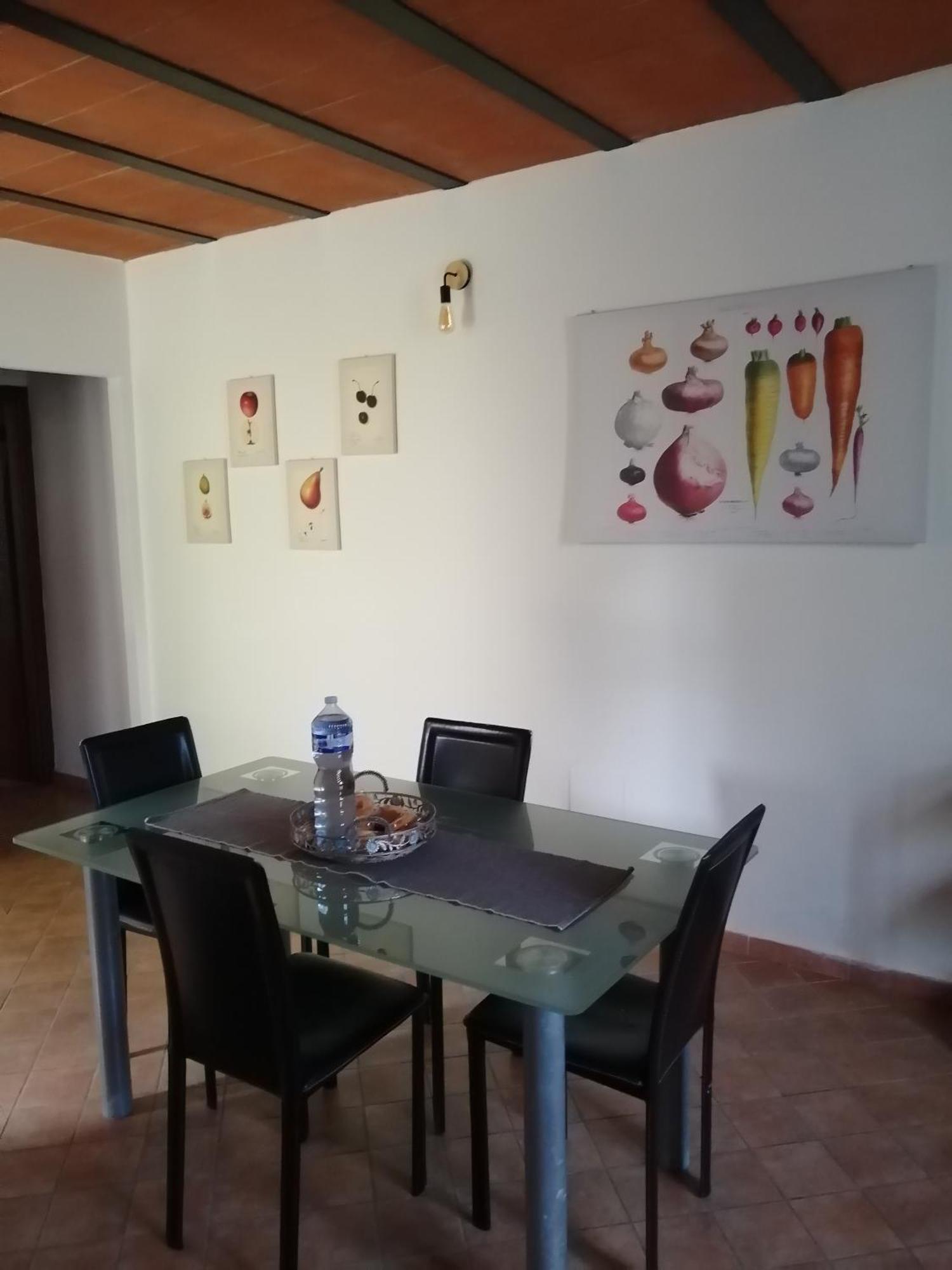 דירות פיזה A Casa Mia מראה חיצוני תמונה