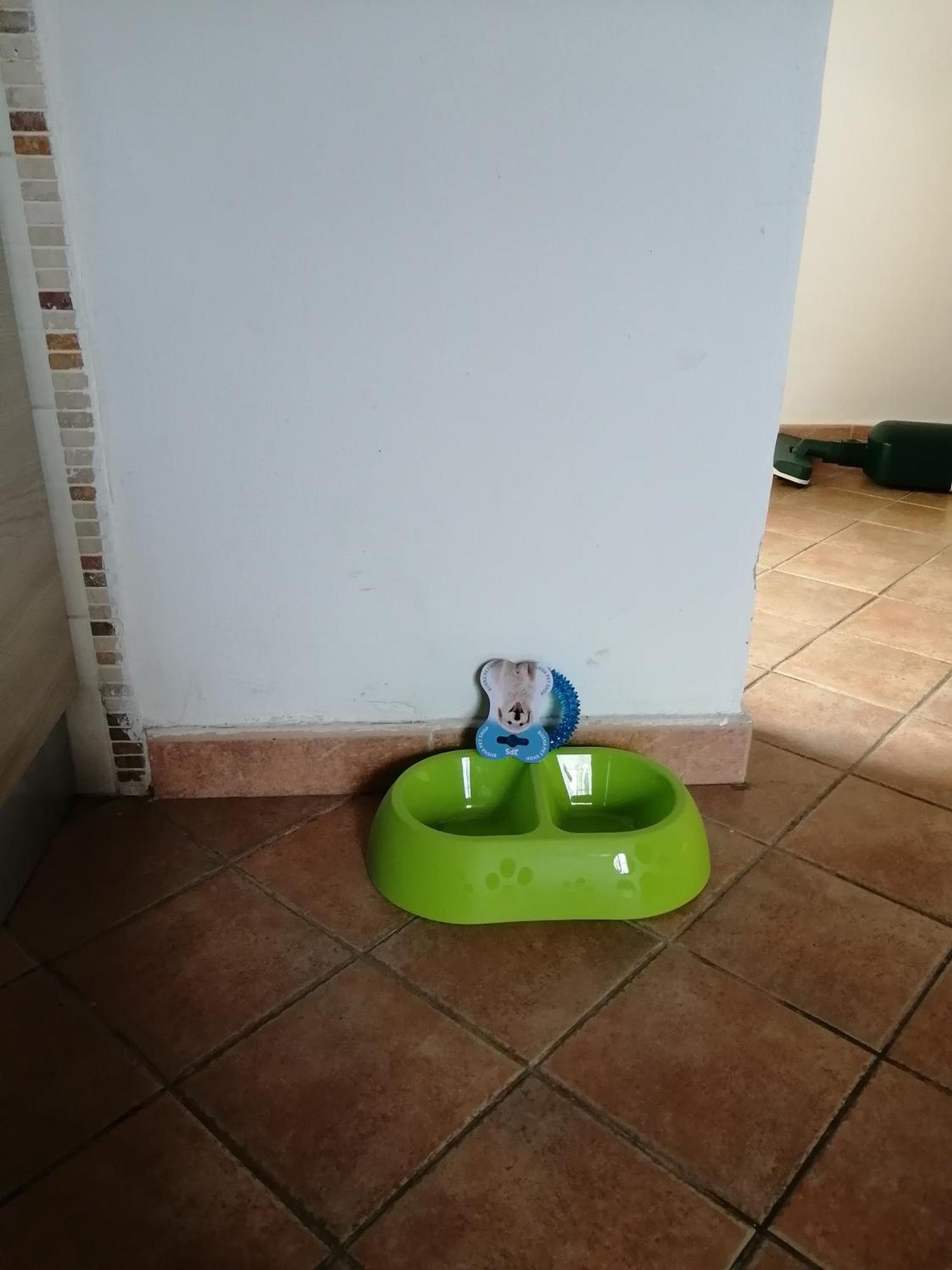 דירות פיזה A Casa Mia מראה חיצוני תמונה