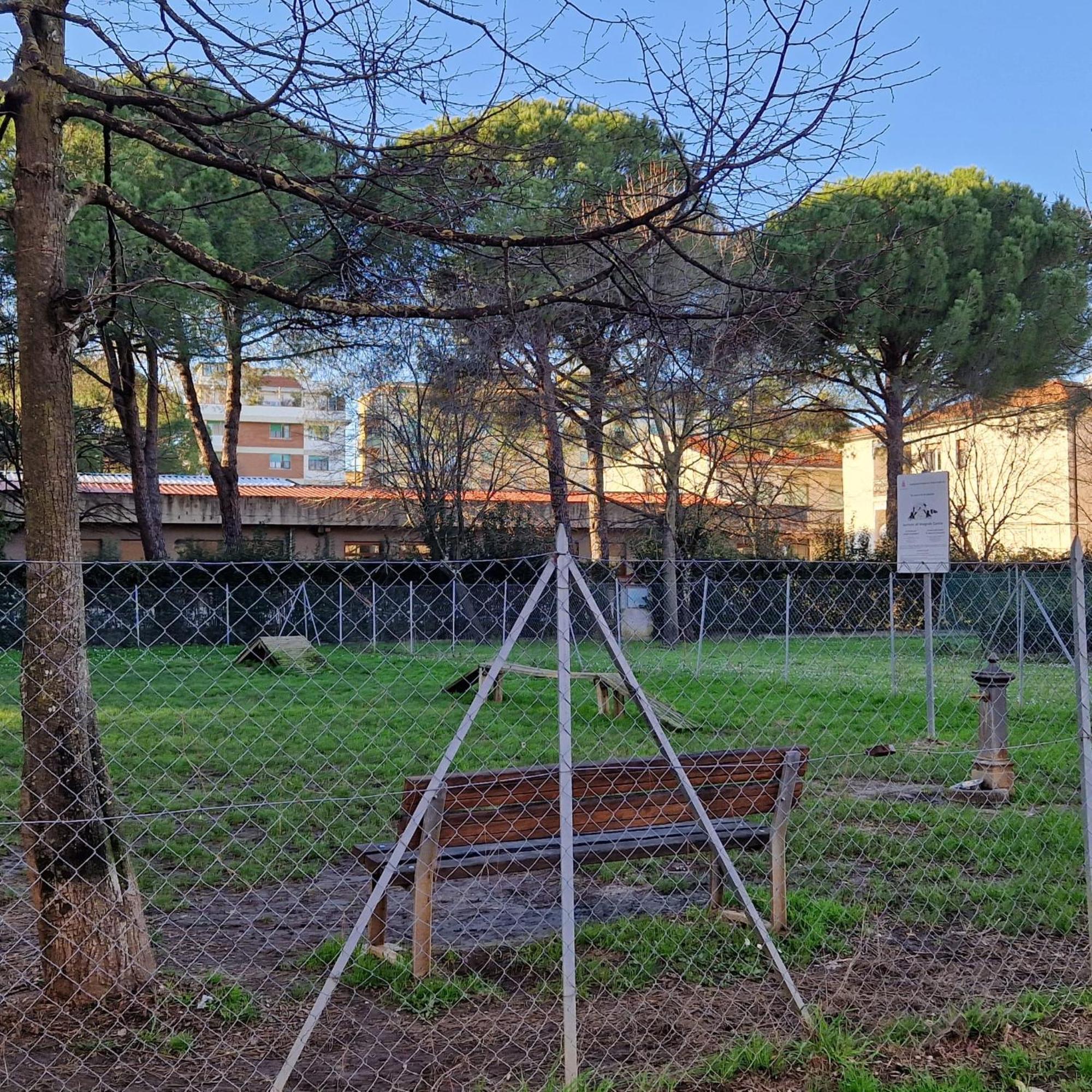 דירות פיזה A Casa Mia מראה חיצוני תמונה